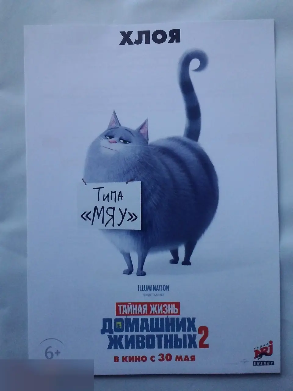 Флаер листовка Тайная жизнь домашних животных 2