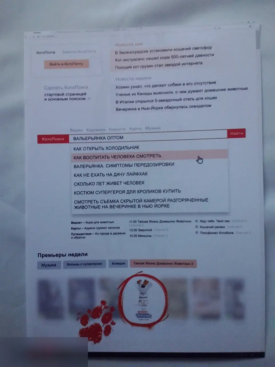 Флаер листовка Тайная жизнь домашних животных 2 1