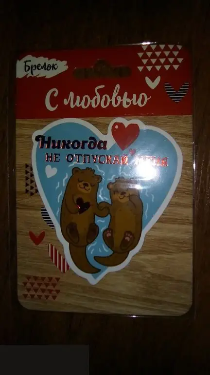 Никогда не отпускай меня магнит