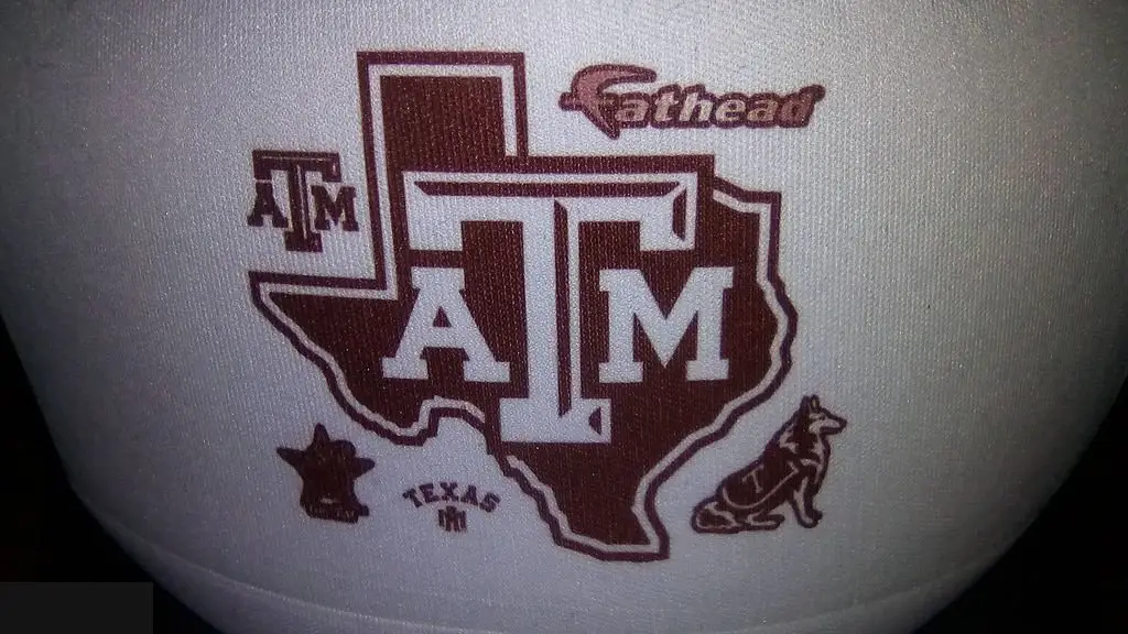 Бейсболка Texas A&M University 1