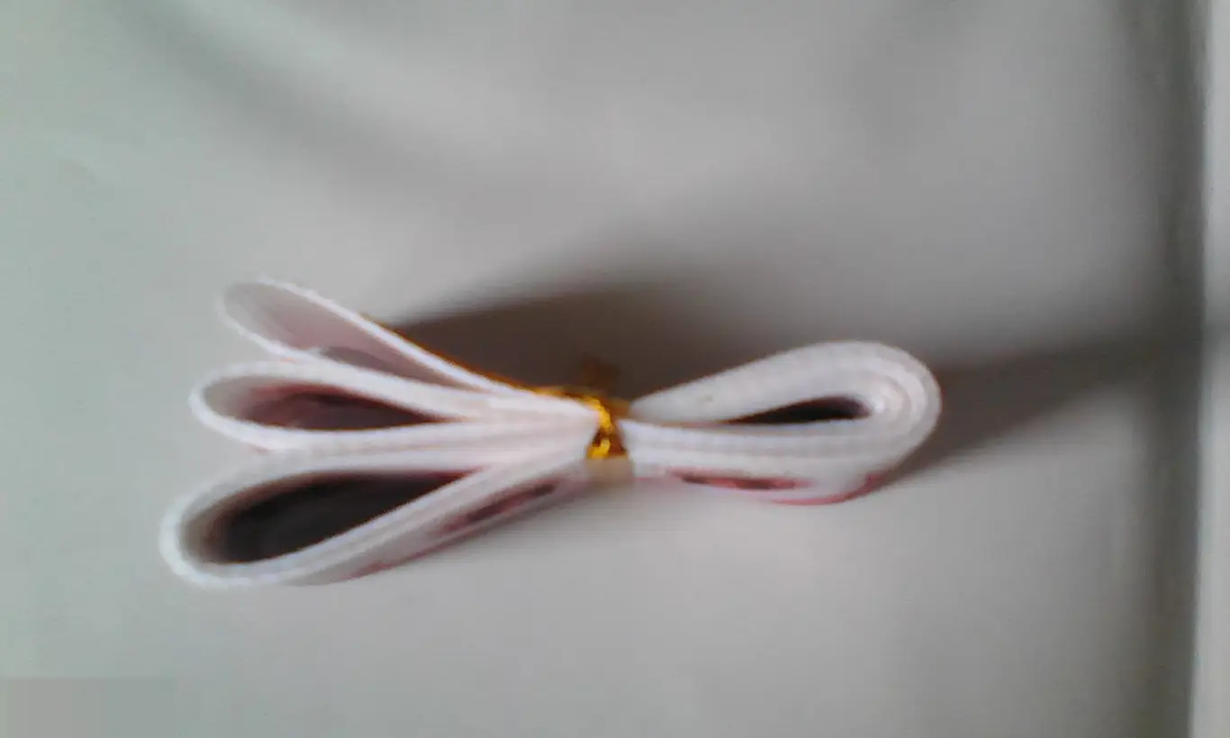 Тесьма ленточка 2,5х90 см 1