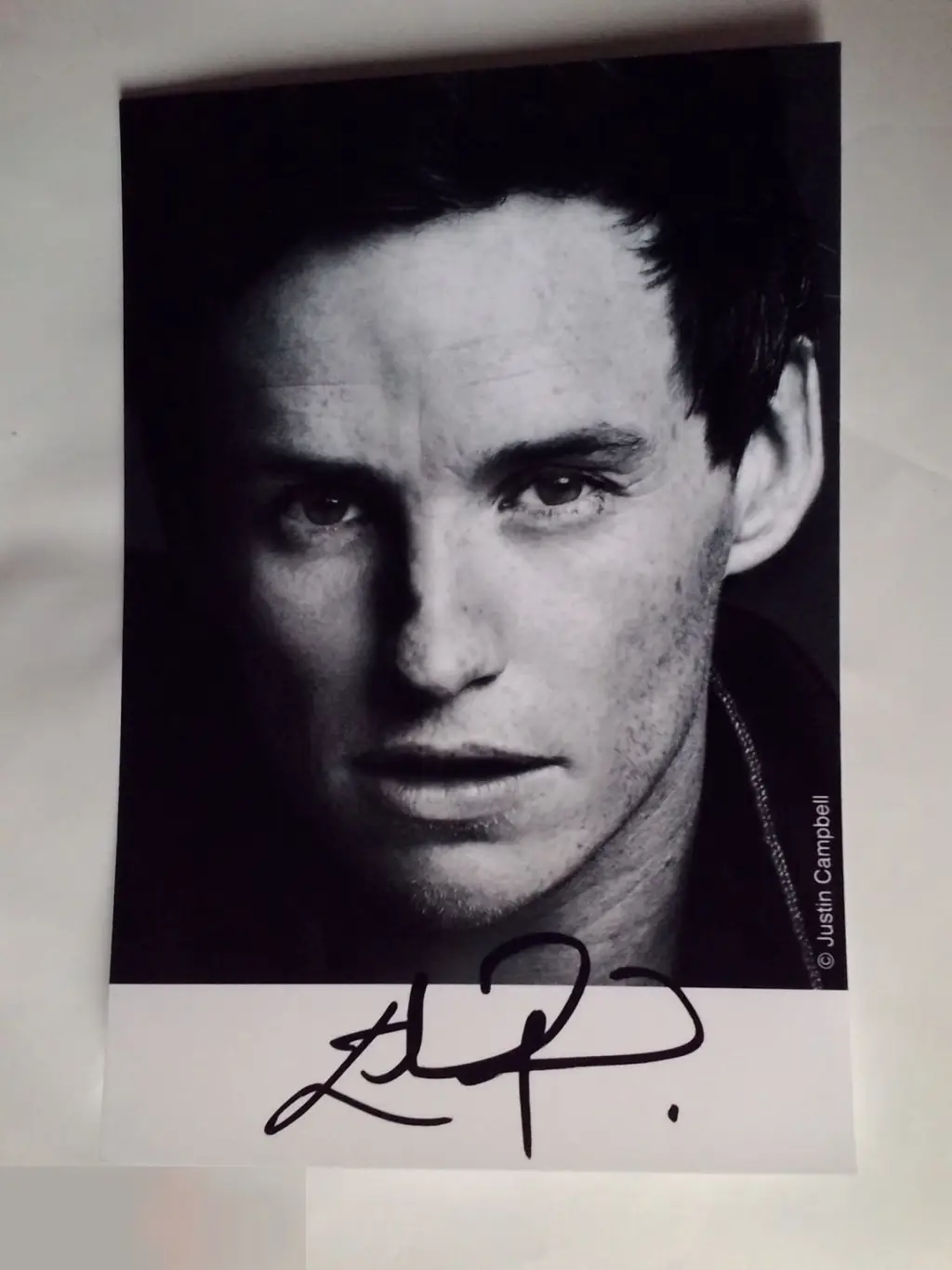 Эдди Редмэйн напечатанный автограф принт