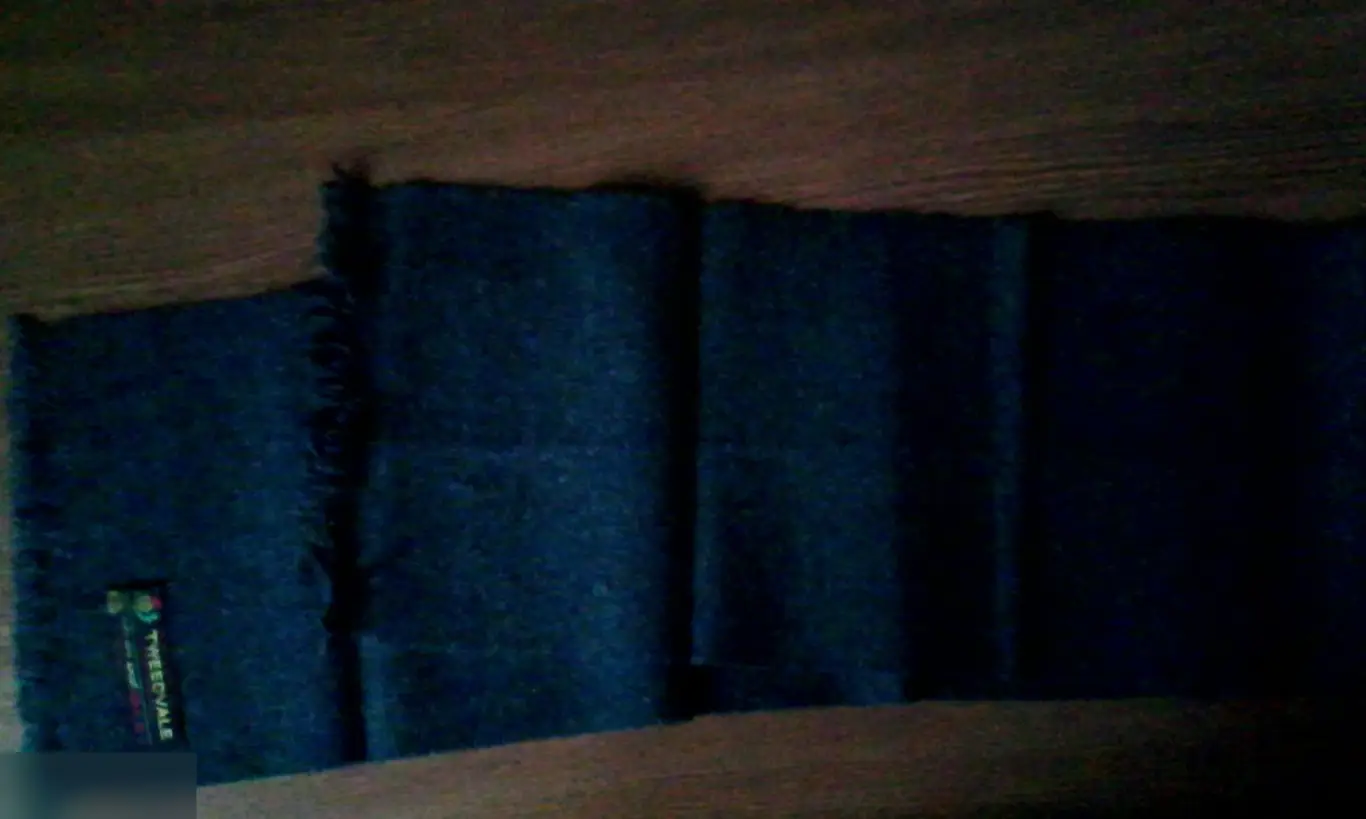 Джеймс Каан ношеный шарф из фильма Для наших ребят с письмом подлинности Walt Disney Attractions