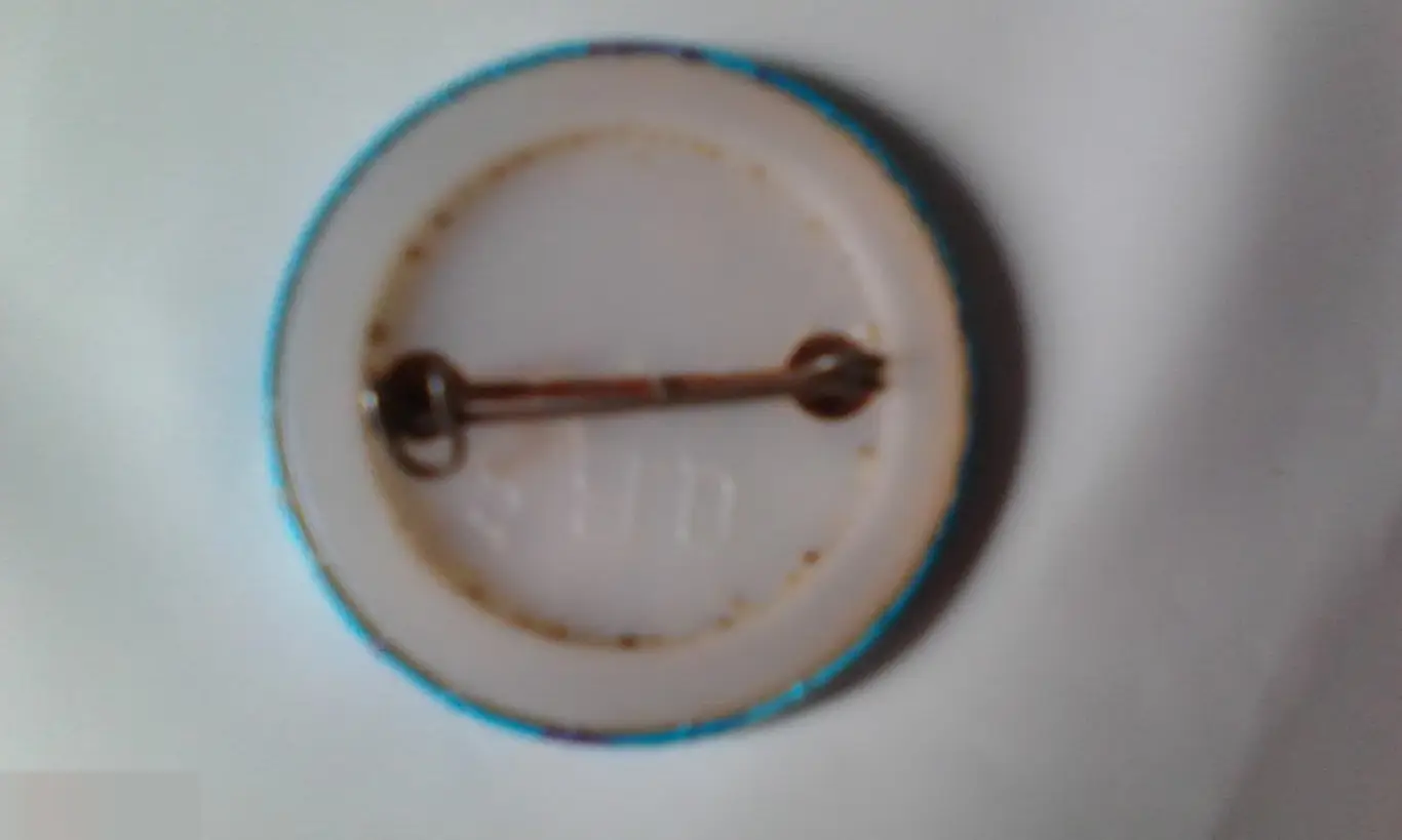 Аниме значок Pokemon Покемон начало 2000-х 1