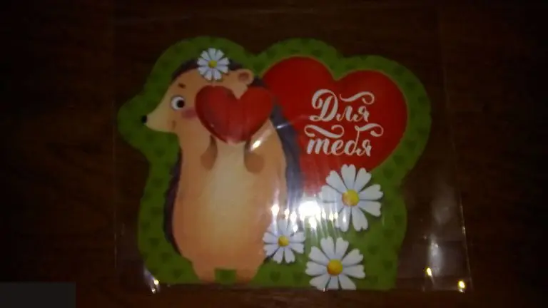 Для тебя магнит