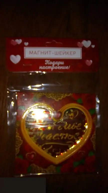 Ты мое счастье магнит-шейкер