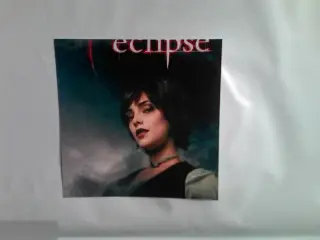 Эшли Грин современное фото 10*10 см Сумерки