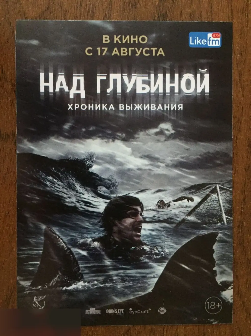 Флаер листовка Над глубиной: Хроника выживания