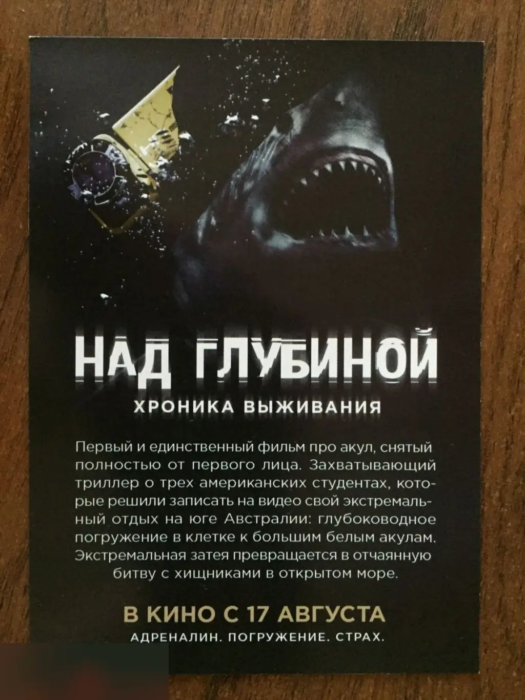 Флаер листовка Над глубиной: Хроника выживания 1