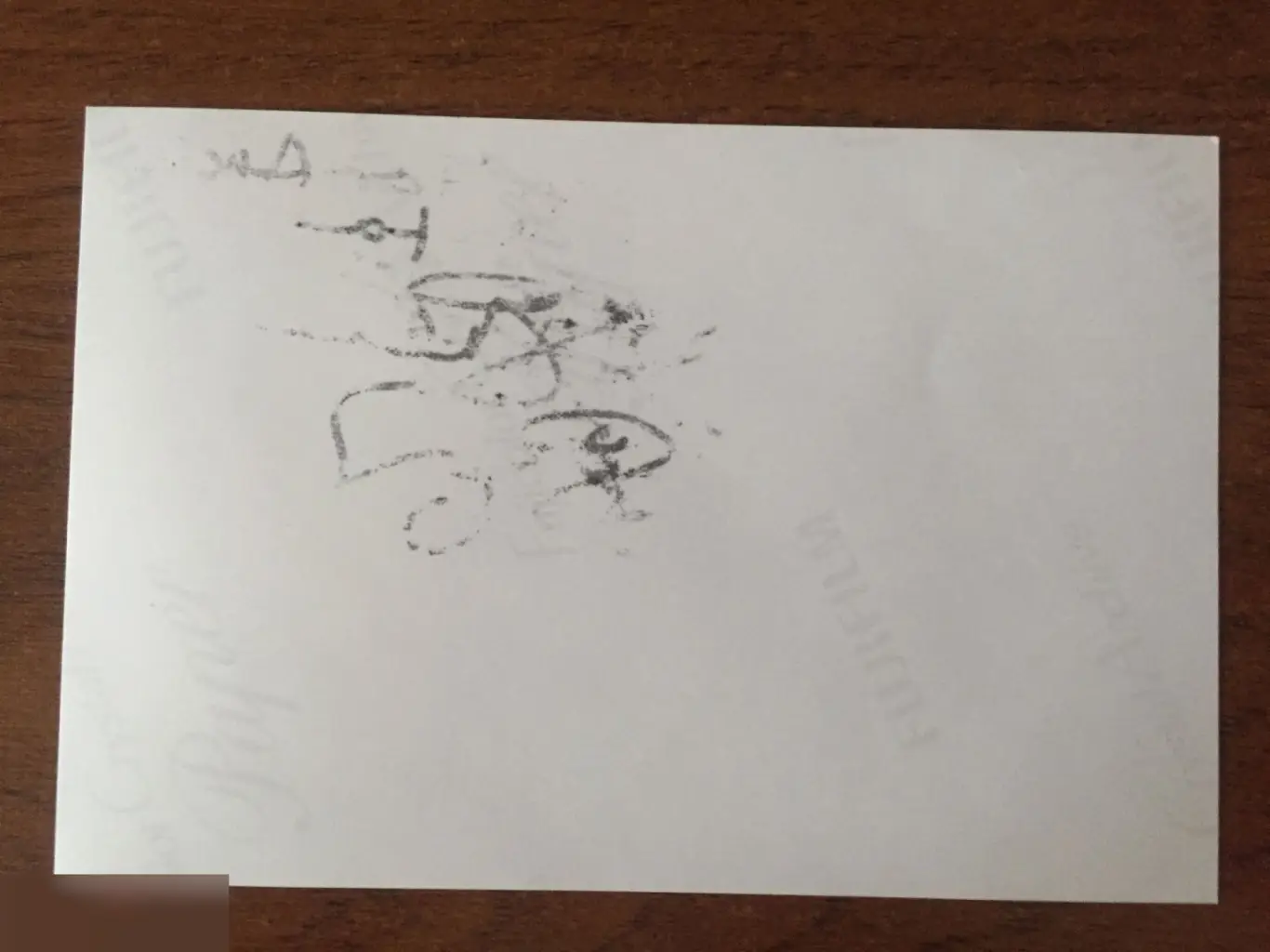 Стеллан Скарсгард автограф на фото 1