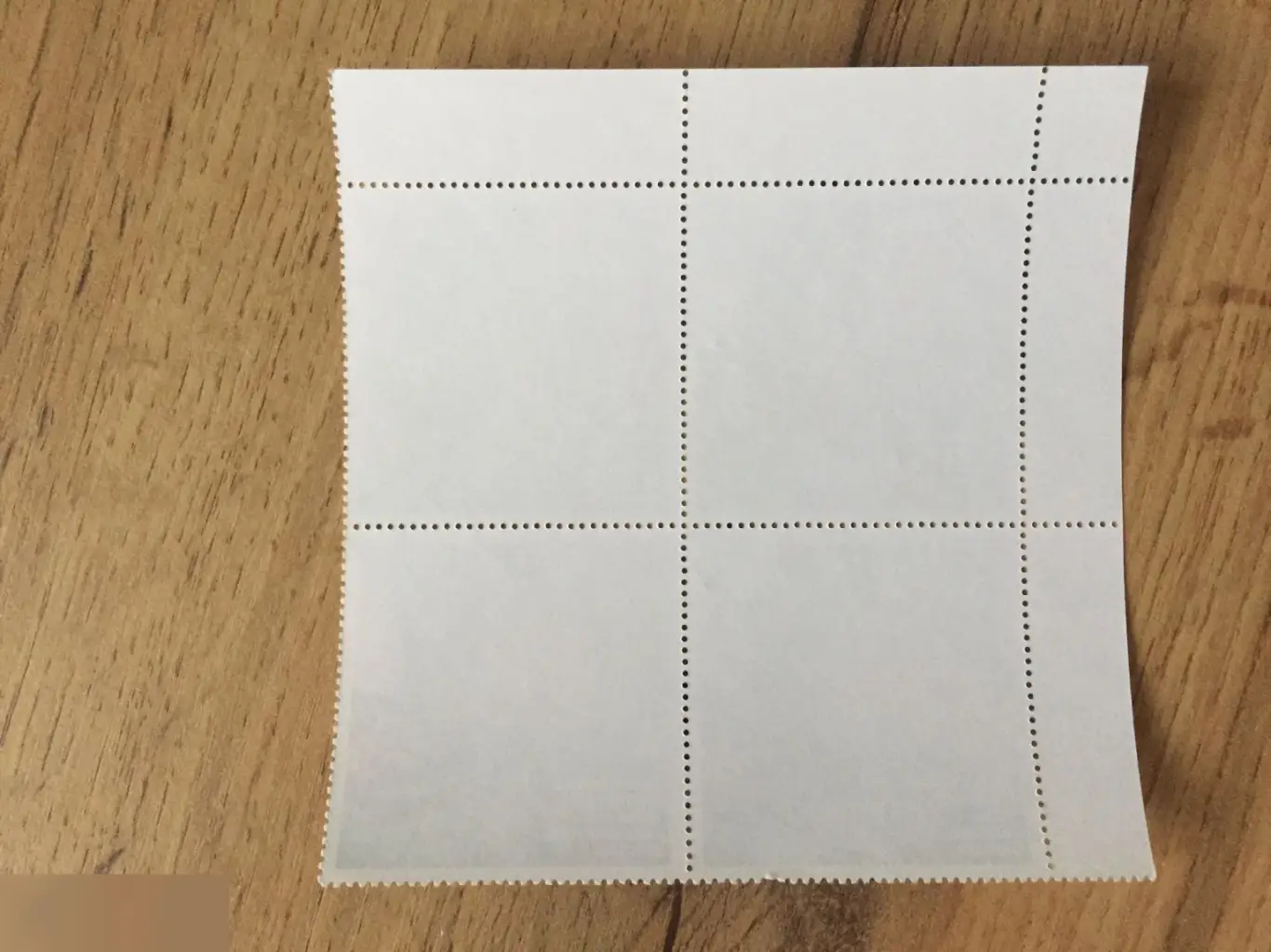 Кругосветное плавание барка "Крузенштерн" 2006 1