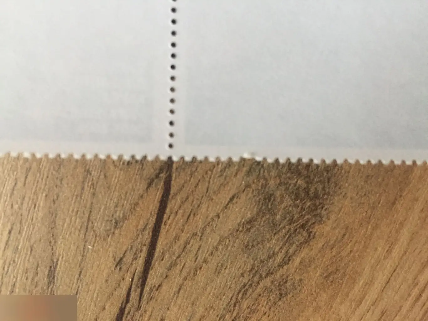 Кругосветное плавание барка "Крузенштерн" 2006 2