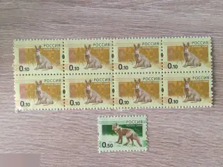 Россия 2008 стандарты