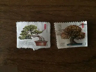 Bonsai 2012 США 2 почтовые марки forever USA