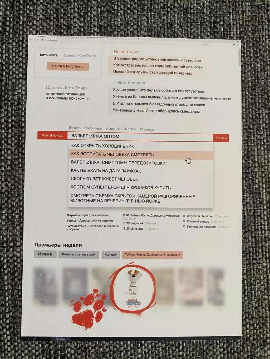 Тайная жизнь домашних животных 2 флаер листовка 1