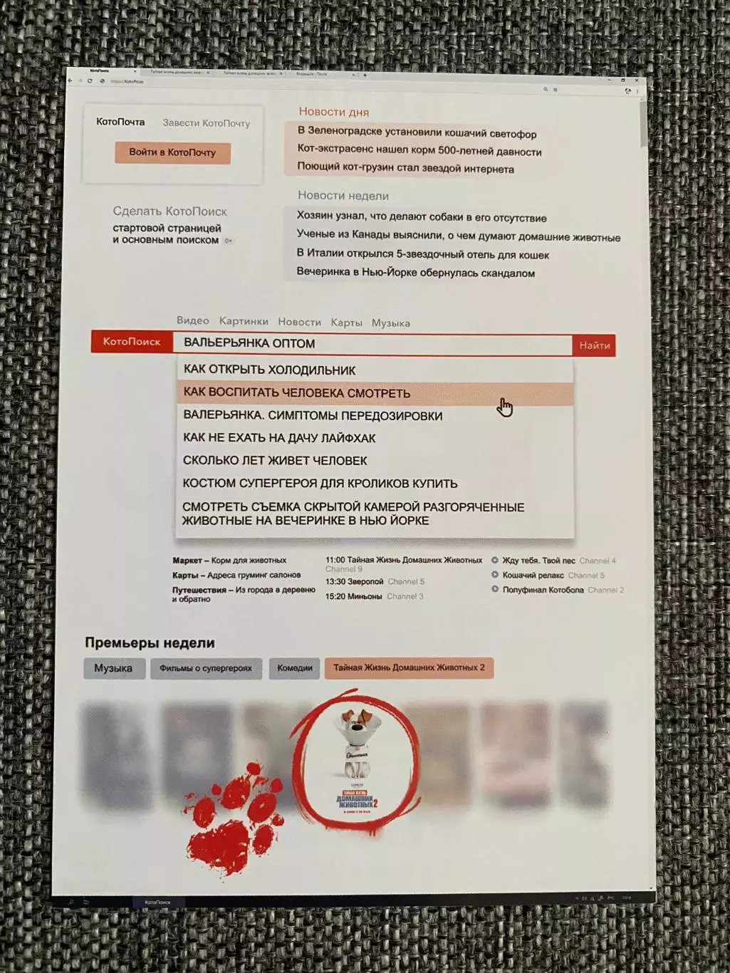 Тайная жизнь домашних животных 2 флаер листовка 1