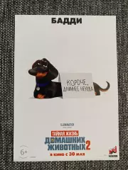 Тайная жизнь домашних животных 2 флаер листовка