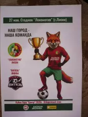 Локомотив Лиски - ФК Витязь Ливны 27.05.2025