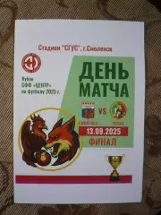 Университет Спорта Смоленск - Локомотив Лиски, 13.09.25 Финал кубка, СФФ ЦЕНТР