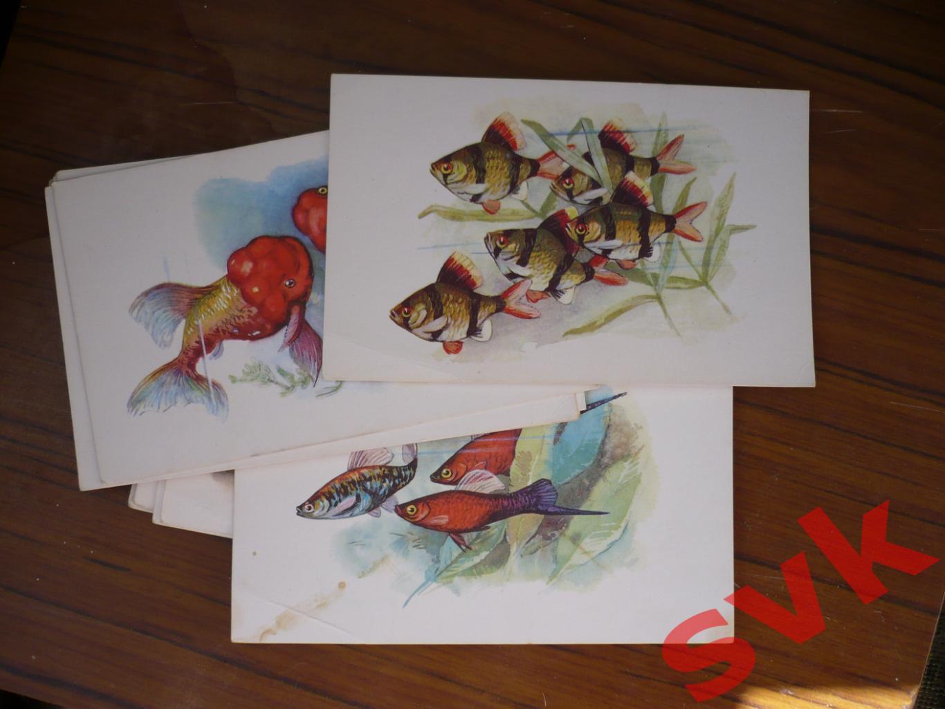 Комплект открыток Аквариумные рыбки