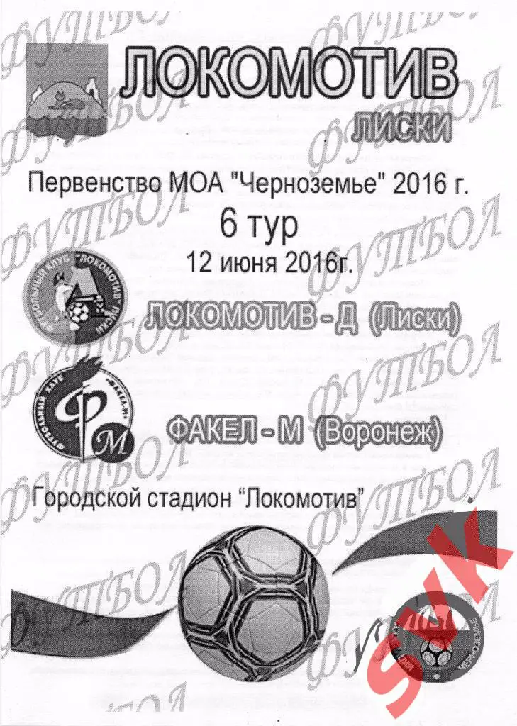 Локомотив-Д Лиски - Факел-М Воронеж 12.06.2016