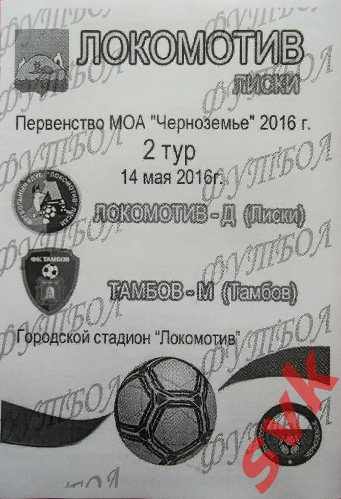 Локомотив-Д Лиски - ФК Тамбов-М14 мая 2016