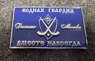 «Динамо» Москва. Хоккей с мячом. Водная гвардия.