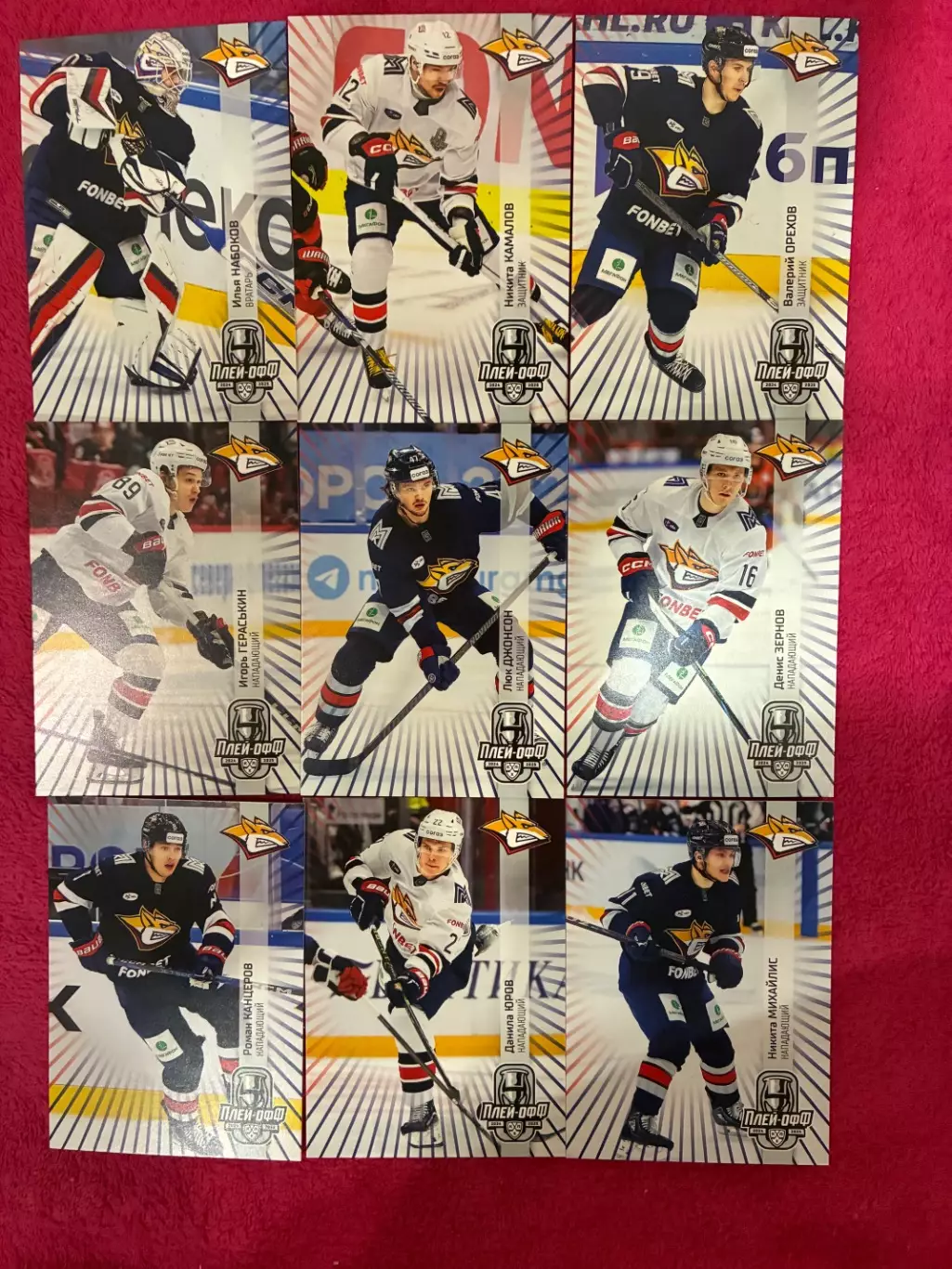 Хоккейные карточки 24-25 премиум хк Металлург