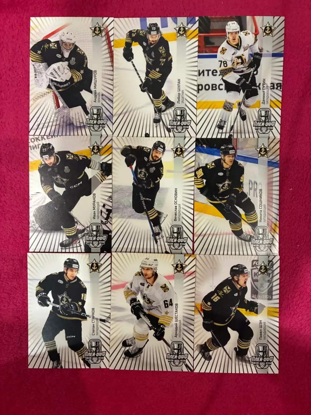 Хоккейные карточки 24-25 премиум хк Адмирал