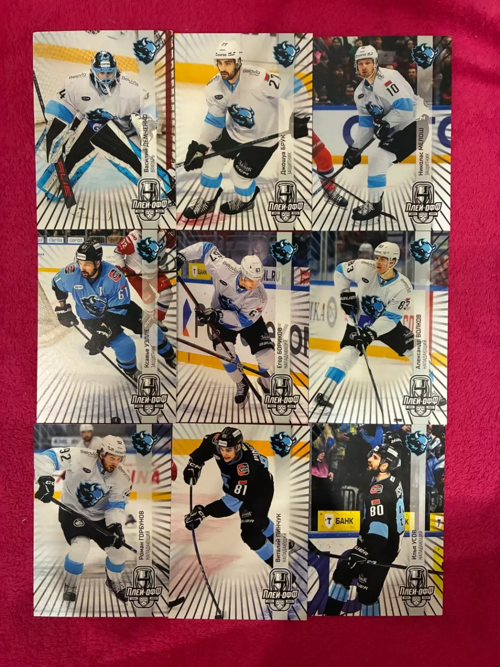 Хоккейные карточки КХЛ 24/25
