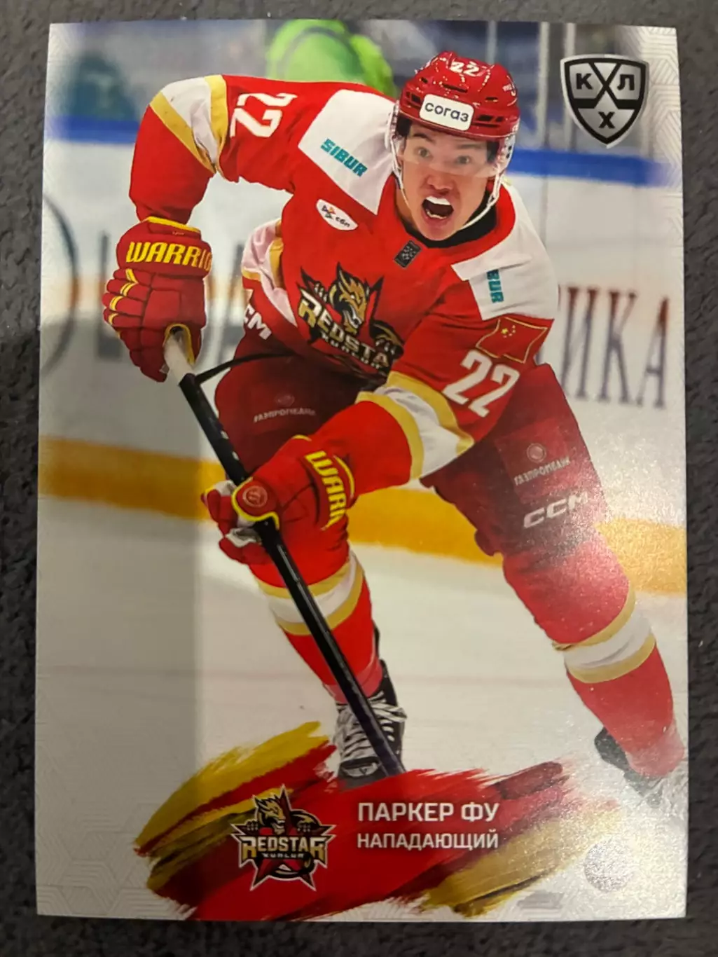 Хоккейная карточка Паркер Фу