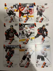 Базовый сет 22/23 Хк Амур (Гребенкин ,Николишин ,Лихачев и тд)