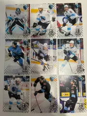 Базовый сет 24/24 премиум хк Динамо Минск