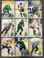 Базовый сет 24/25 Хк Салават Юлаев (Ливо ,Ремпал ,Тодд и др)