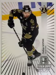 Хоккейная карточка Либор Шулак