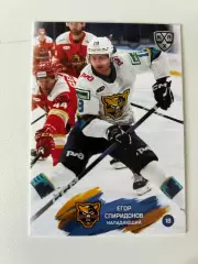 Хоккей. Егор СпиридоновКХЛ