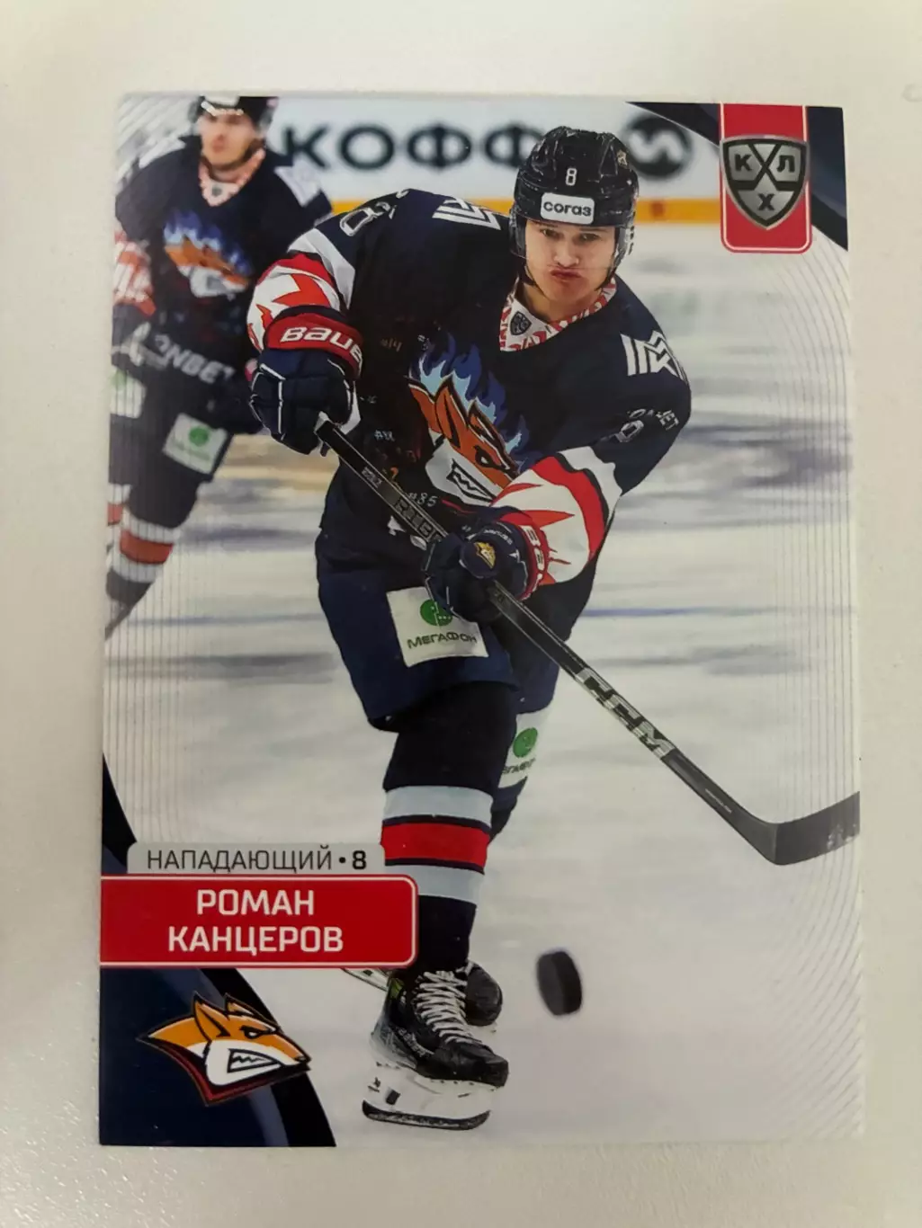 Хоккей. Роман Канцеров