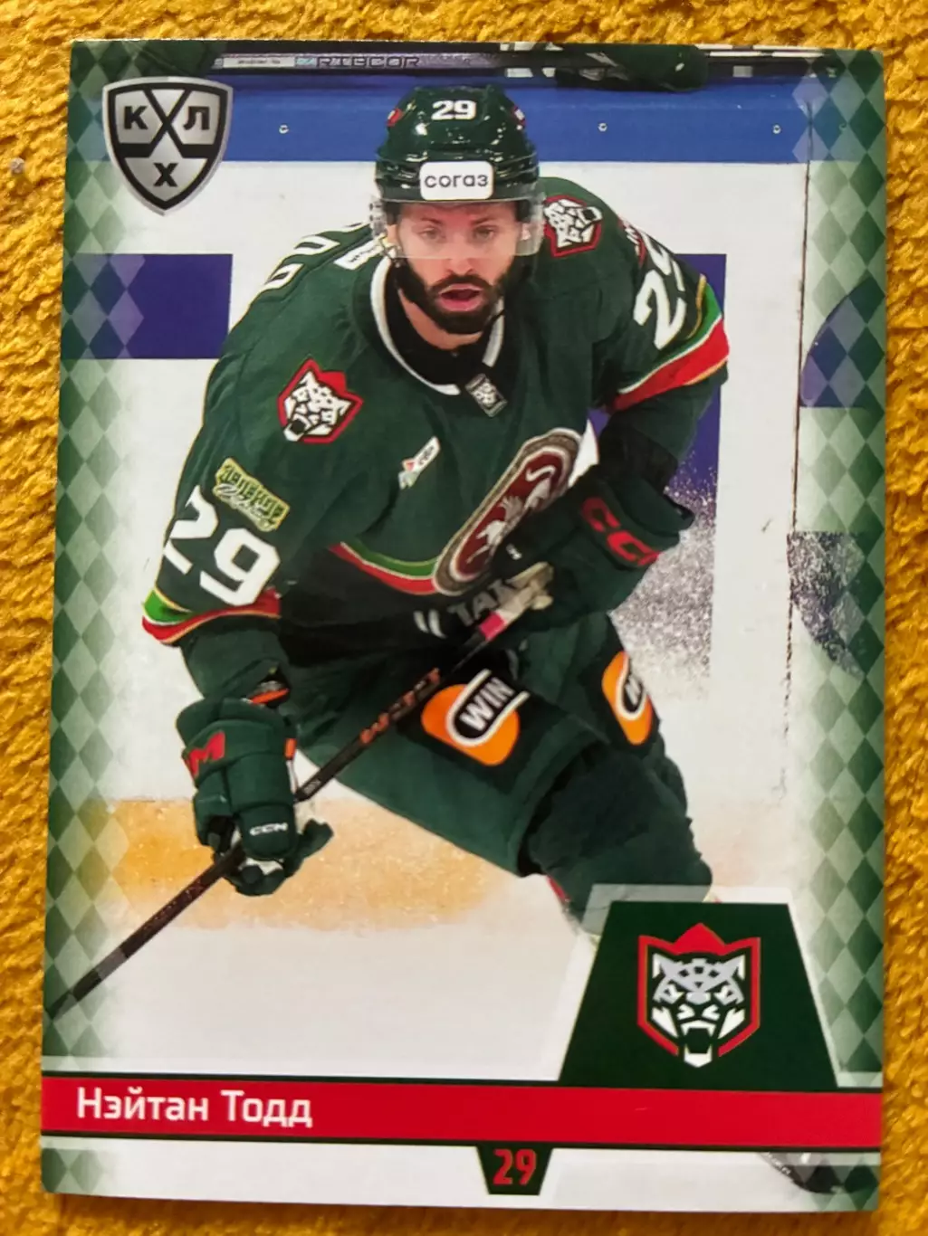 Хоккей. Нэйтан ТоддАк барс/Салават Юлаев