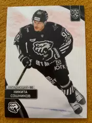 Хоккей. Никита Сошников