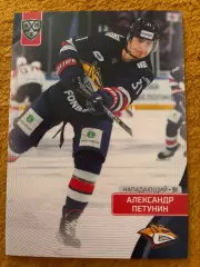 Хоккей. Александр Петунин