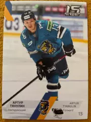 Хоккей. Артур Тянулин