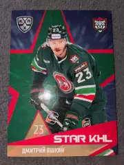 Хоккей. Дмитрий Яшкин