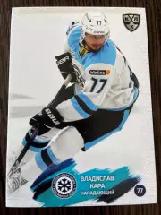 Хоккей. Владислав Кара