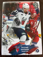 Хоккей. Арсений Варлаков