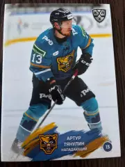 Хоккей. Артур Тянулин