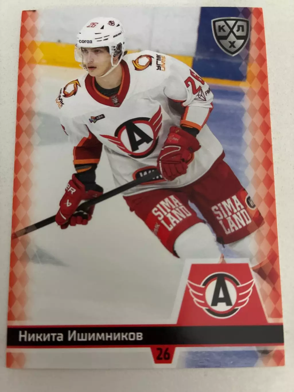 Хоккей. Никита Ишимников