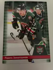 Хоккей. Автограф Радэль Замалтдинов