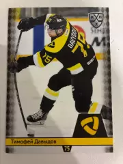 Хоккей. Тимофей Давыдов