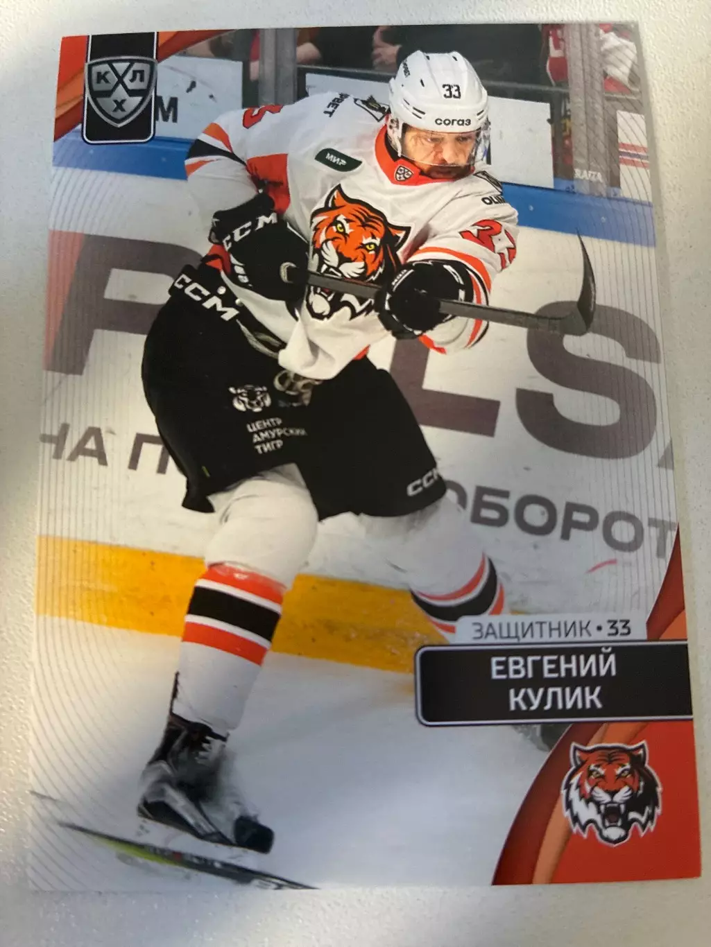 Хоккей. Евгений Кулик