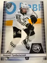 Хоккей. Андрей Прибыльский